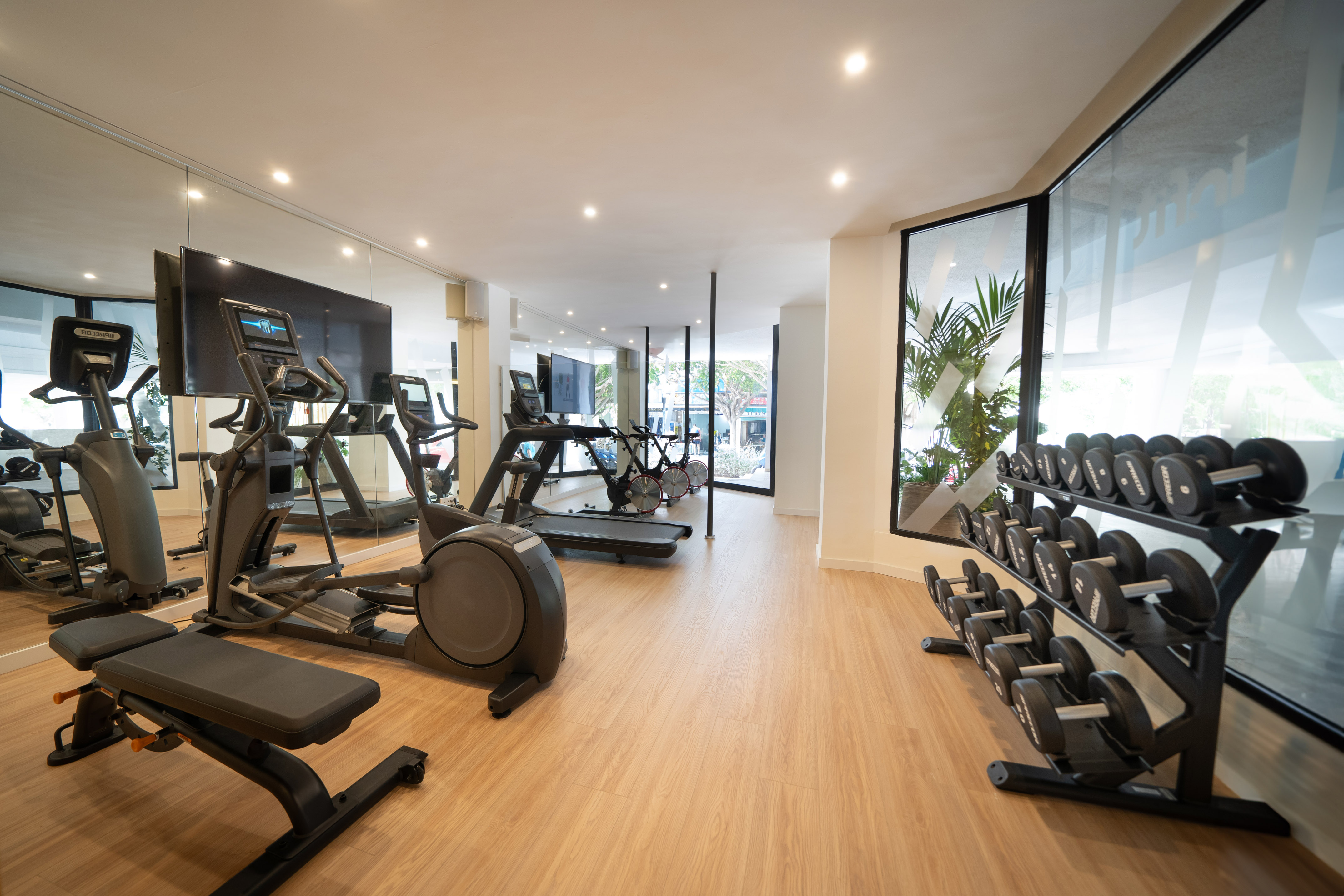 Modern fitness center with cardio equipment, weight bench, and dumbbells.