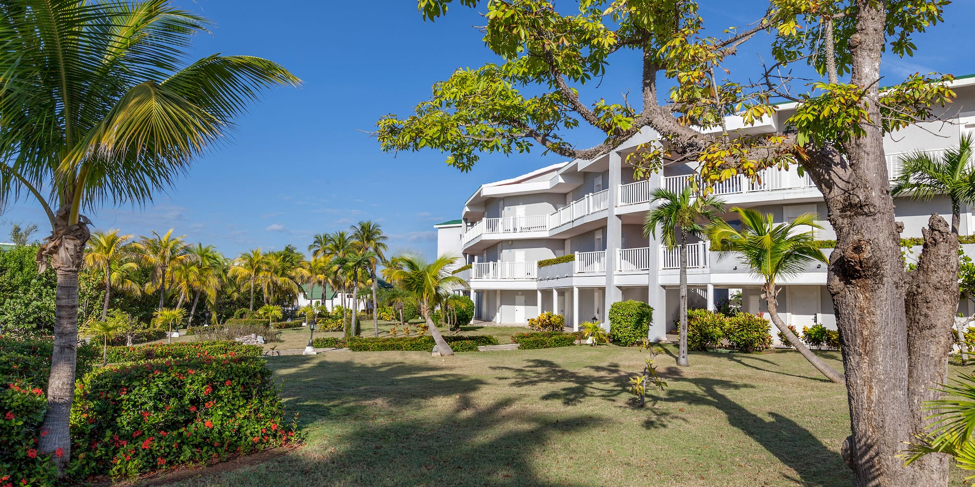a building with palm trees and grass