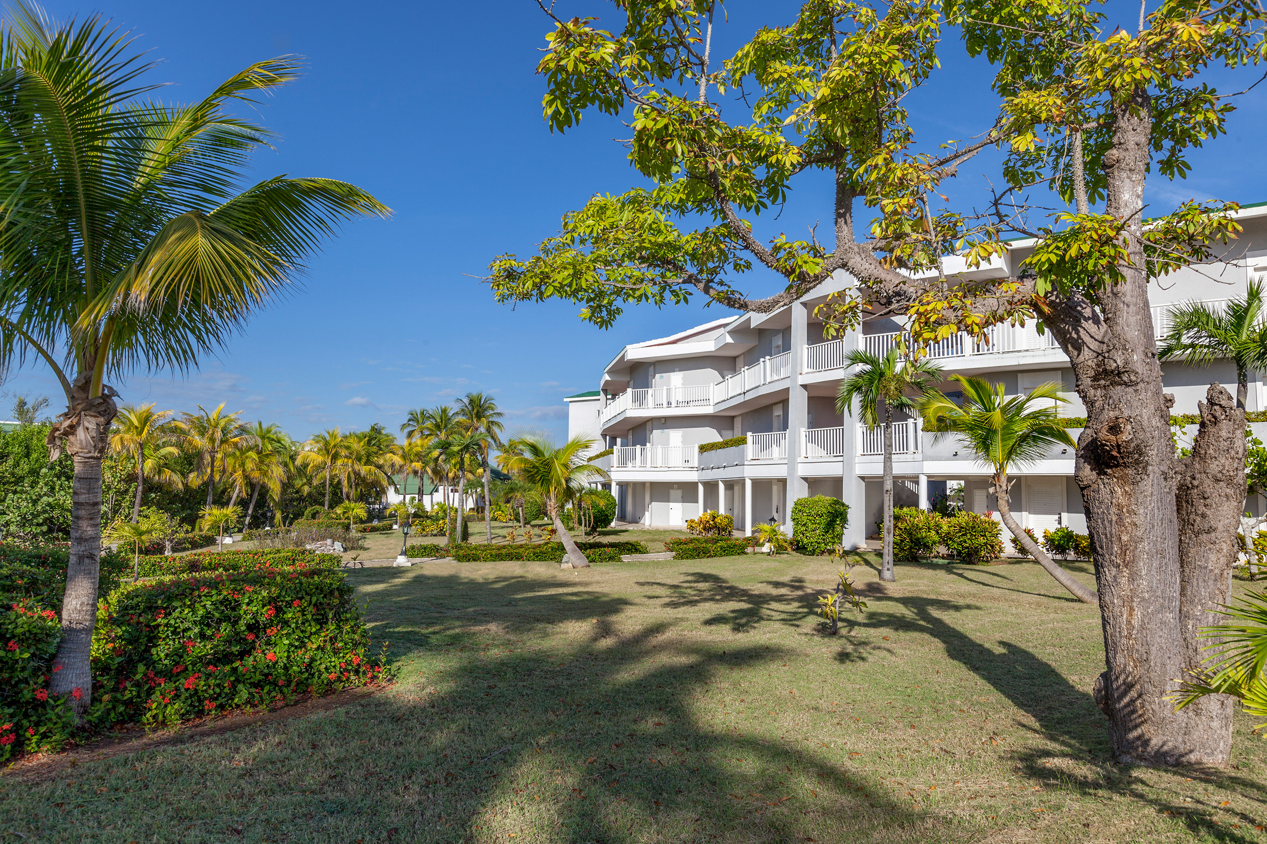 a building with palm trees and grass