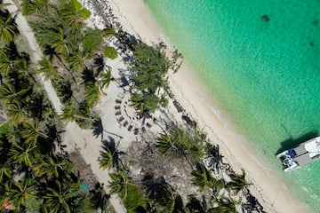 a beach with palm trees and a body of water