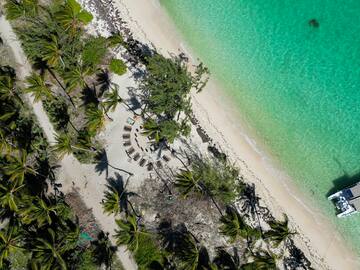 a beach with palm trees and a body of water