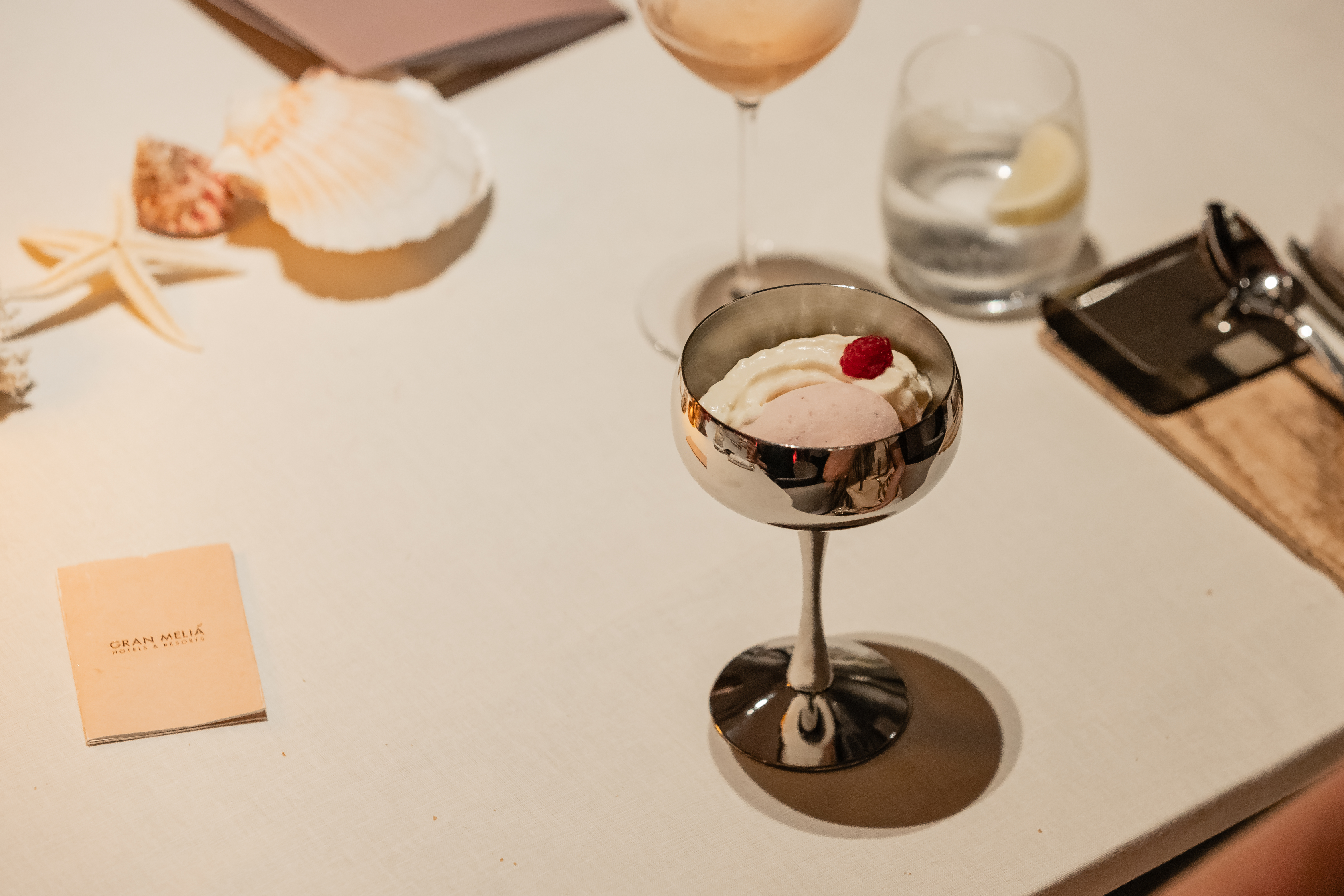 Gran Meliá dessert with raspberry, wine, and seashell decor.