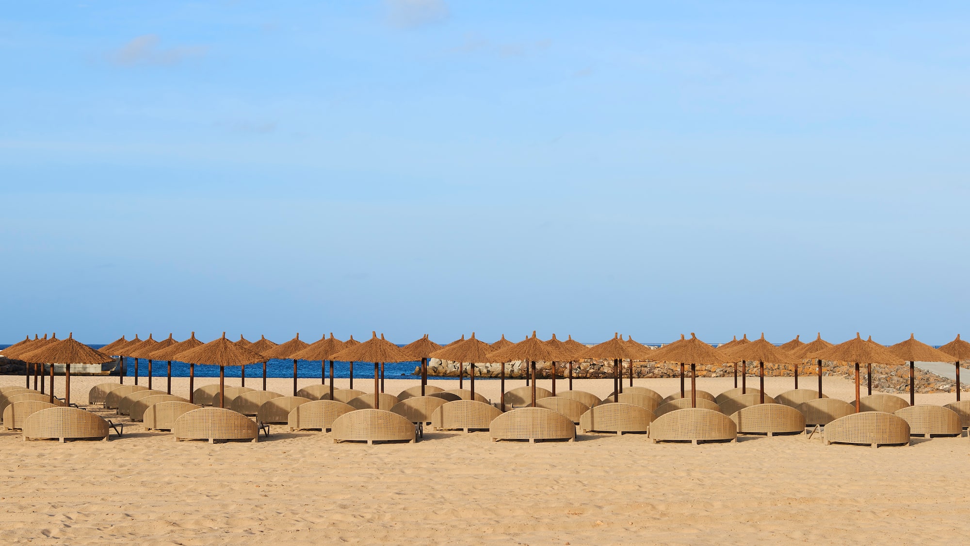 a group of umbrellas on a beach
