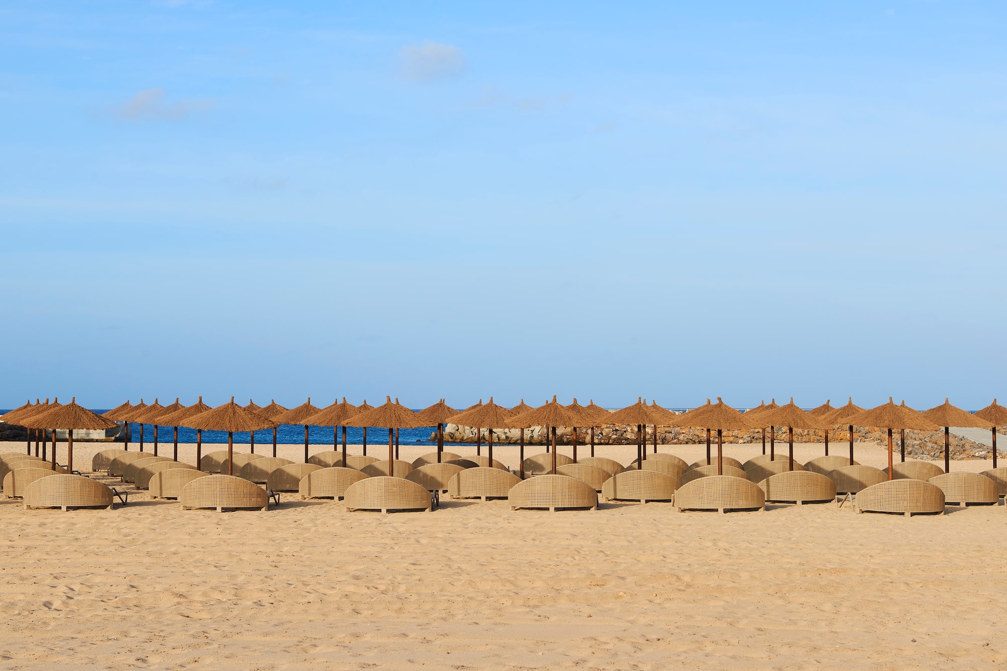 a group of umbrellas on a beach