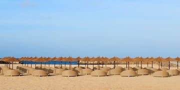 a group of umbrellas on a beach