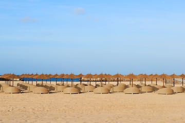 a group of umbrellas on a beach