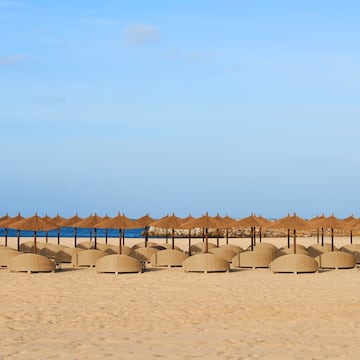 a group of umbrellas on a beach