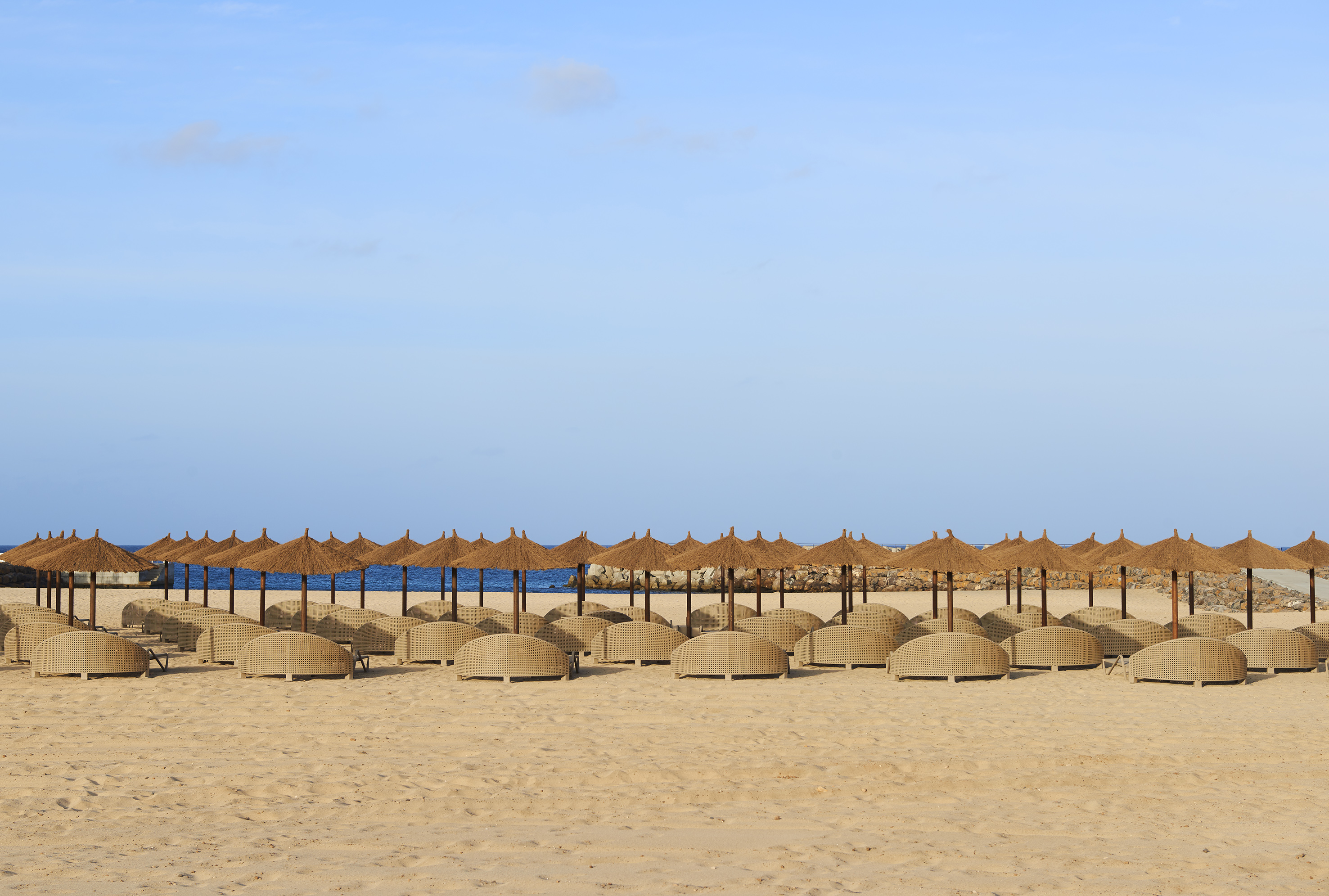 a group of umbrellas on a beach