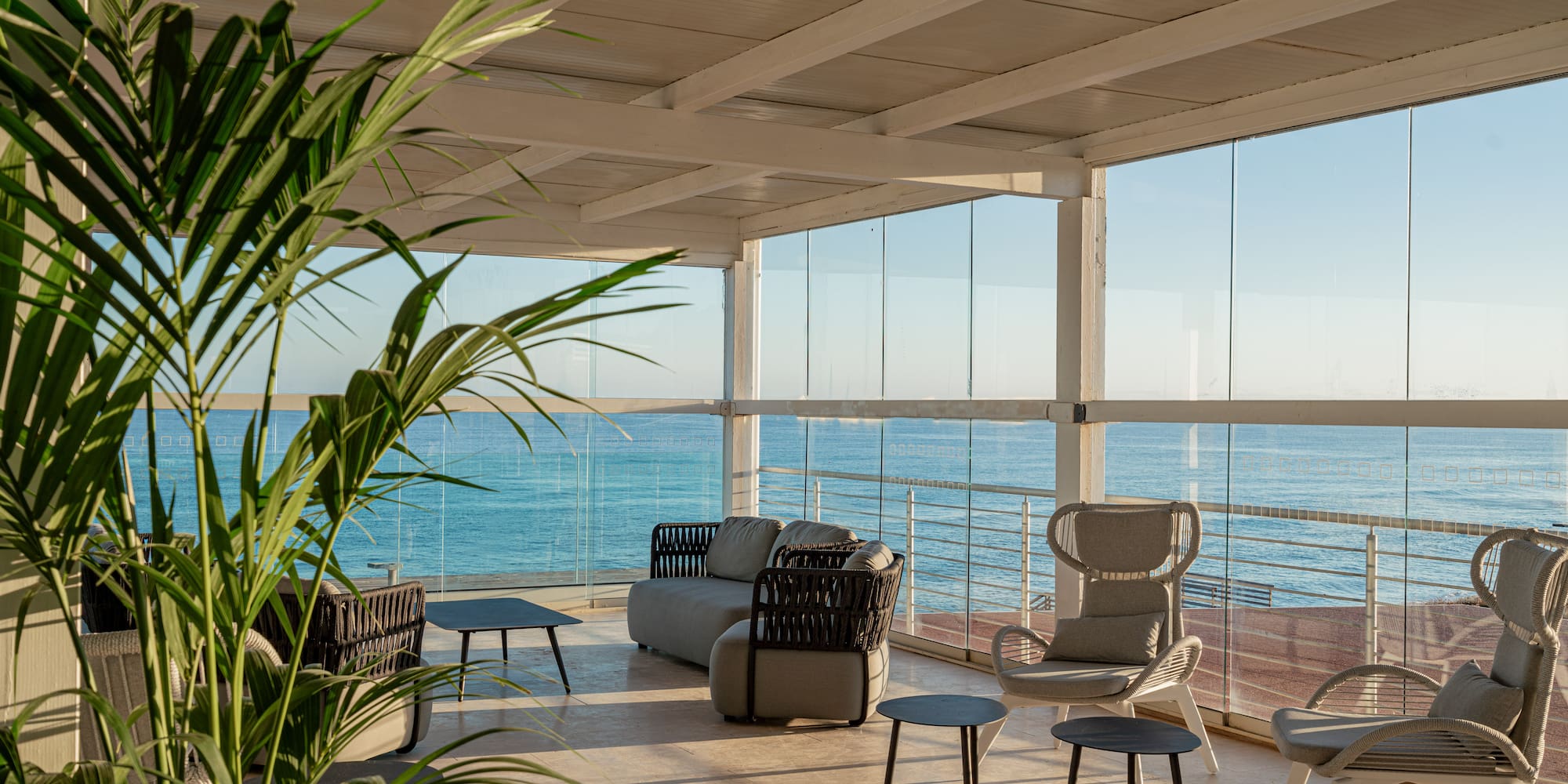 a room with a large deck with a large plant and a couch