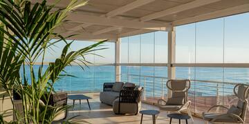 a room with a large deck with a large plant and a couch