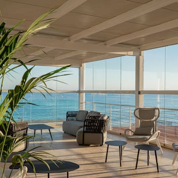 a room with a large deck with a large plant and a couch