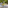 Rustic outdoor dining table with candelabra, greenery, candles in forest.