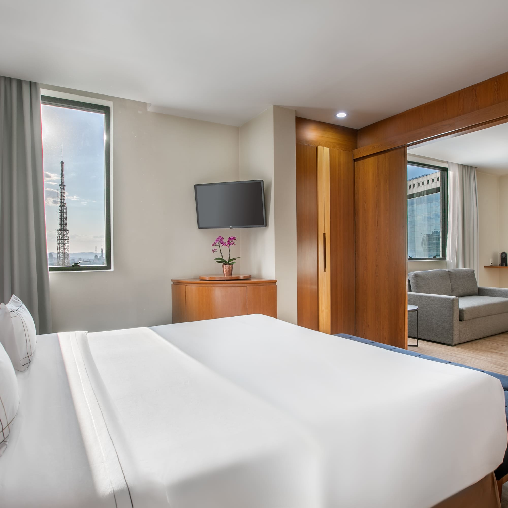 a bedroom with a bed and a television